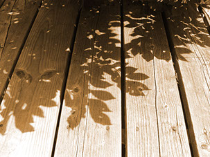 Pressure-treated wood deck