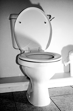 toilet